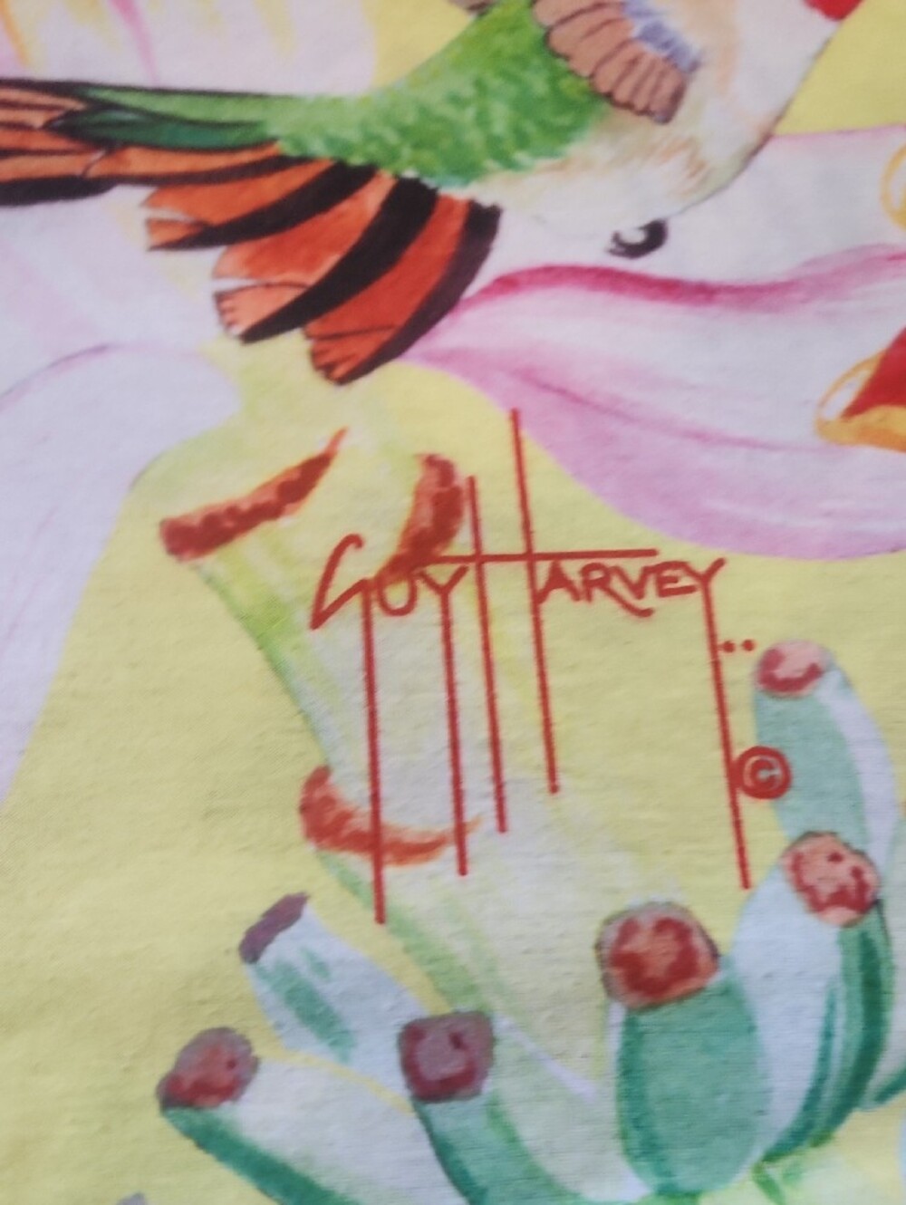 Guy Harvey Short Sleeve Tee in Orange and Black Graphic - Picture 5 of 9